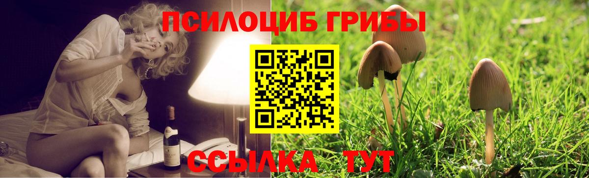 Псилоцибиновые грибы MAGIC MUSHROOMS Светлоград