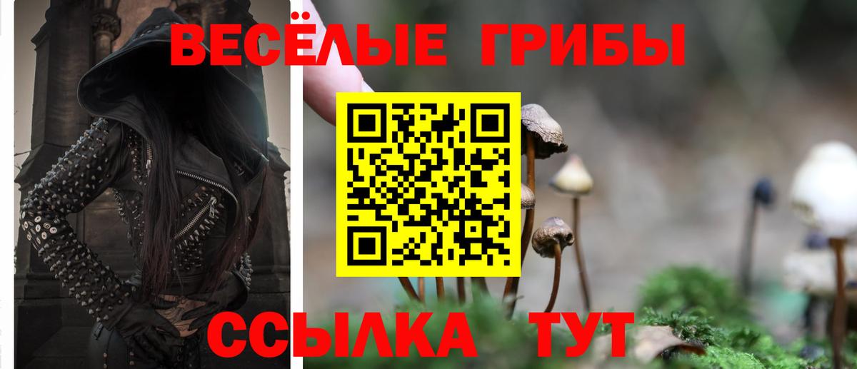 купить наркотики цена  Вход с VPN  Светлоград  Галлюциногенные грибы Magic Shrooms  Псилоцибиновые грибы Magic Shrooms 